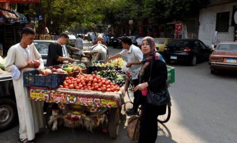 هربًا من الحرارة.. اختباء الباعة الجائلين تحت ظل الأشجار بسوهاج