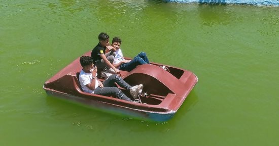 هربا من الحر.. البدالات النهرية تجذب زوار الحديقة الدولية.. صور وفيديو