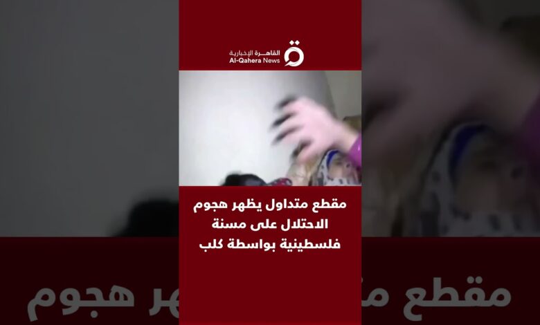 القاهرة الاخبارية: مقطع متداول يظهر هجوم الاحتلال على مسنة فلسطينية بواسطة كلب