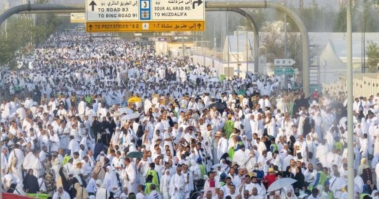 المدينة المنورة: رفع أكثر من ربع مليون طن مخلفات فى موسم الحج