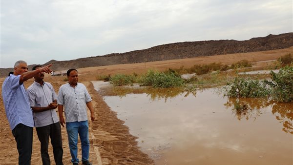 نتيجة الثانوية العامة 2024 بالاسم ورقم الجلوس.. ظهرت الآن