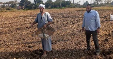 زراعة 260 فدانا من محصول الكتان بغيطان الشرقية.. اعرف التفاصيل