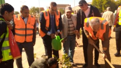 جامعة أسوان تطلق مبادرة 100 مليون شجرة مثمرة ضمن "بداية جديدة".. صور